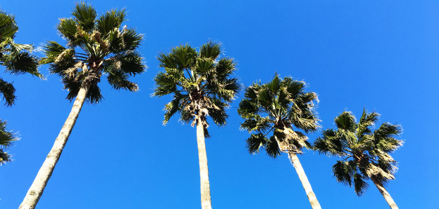 アクセスマップ